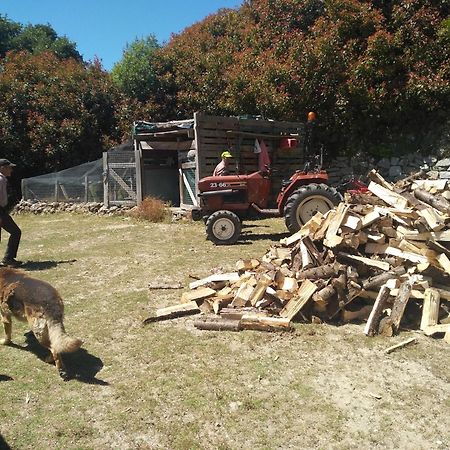 Chale Pouso Da Serra - Casas De Montanha Costilhao Ngoại thất bức ảnh