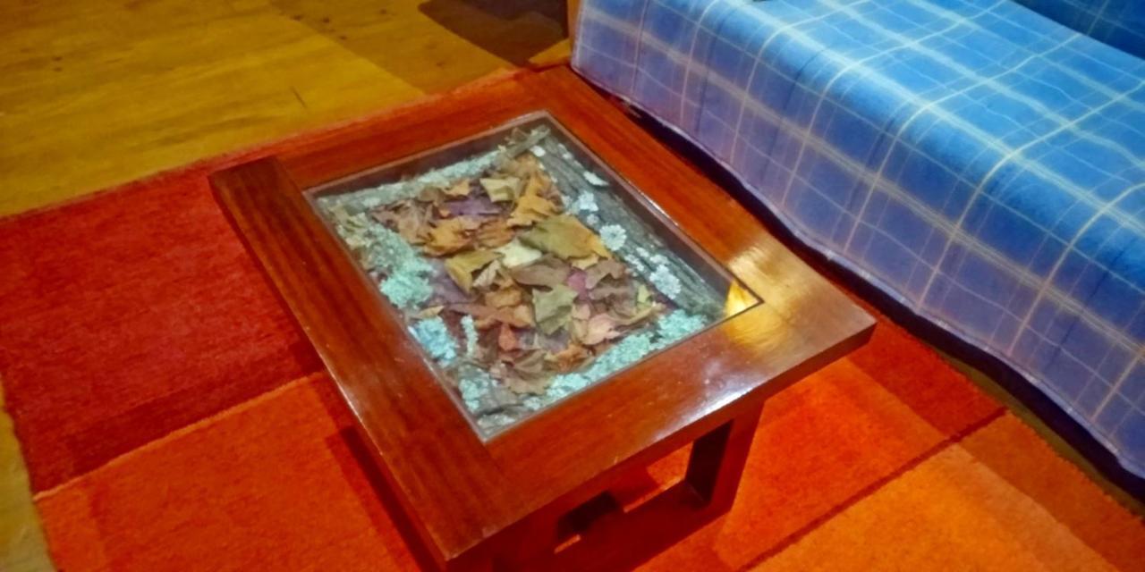 Chale Pouso Da Serra - Casas De Montanha Costilhao Ngoại thất bức ảnh