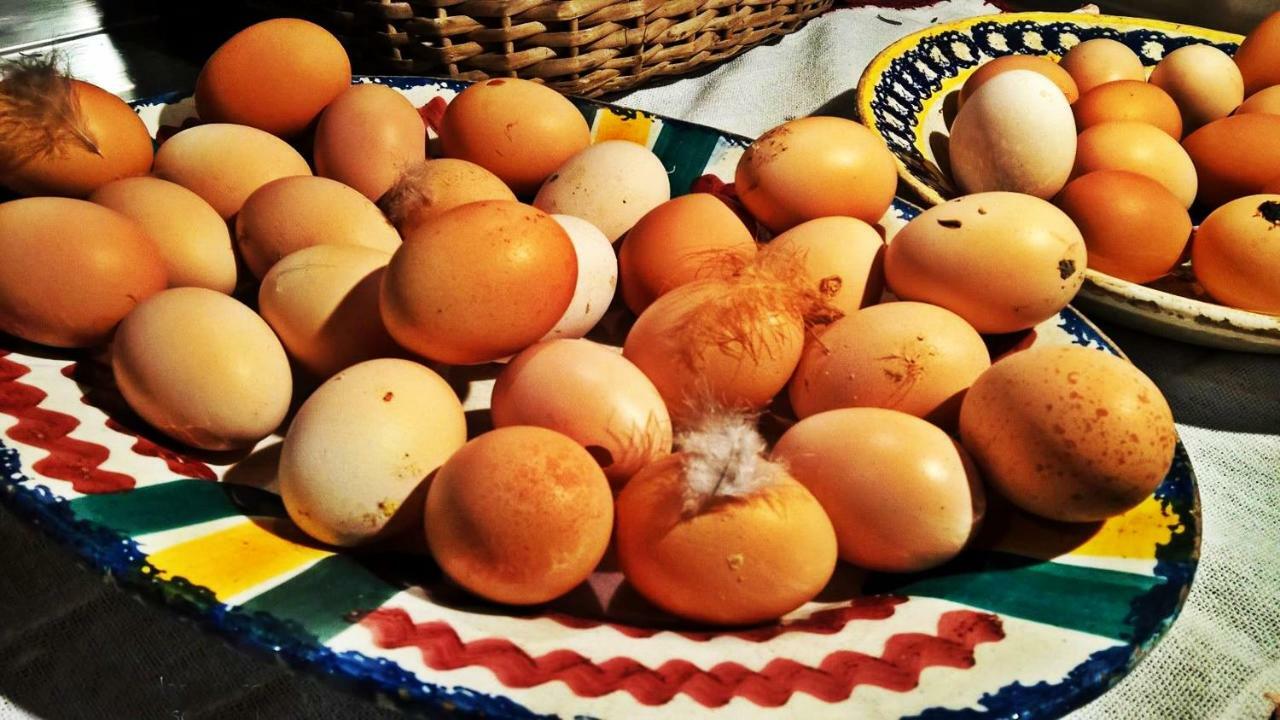 Chale Pouso Da Serra - Casas De Montanha Costilhao Ngoại thất bức ảnh